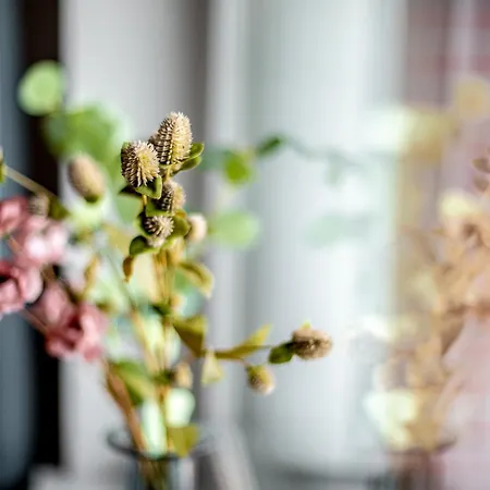 Apartment Hygge Kolobrzeg